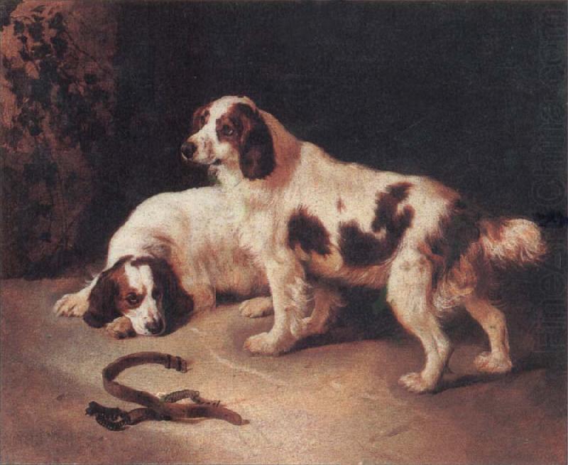 Brittany Spaniels, George Horlor